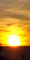 sunset 5